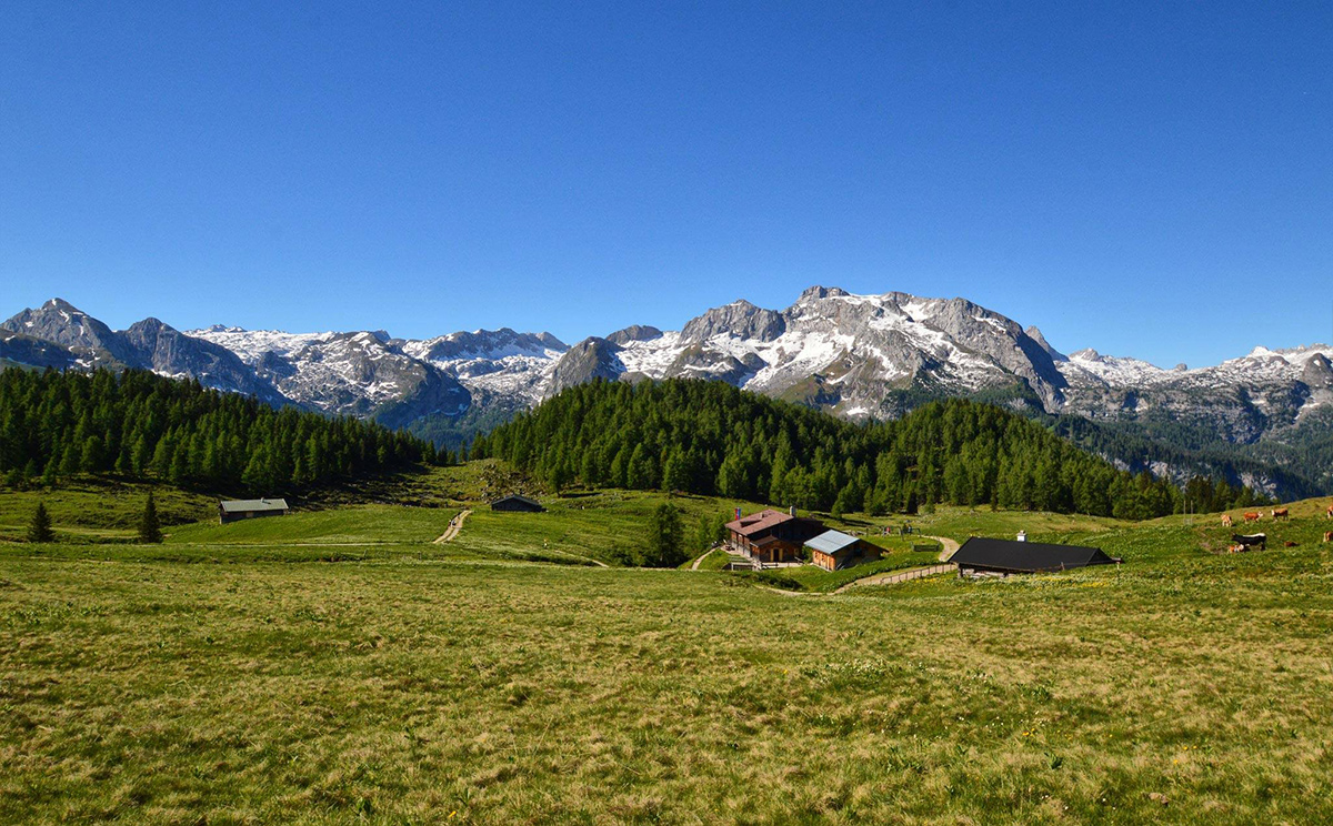 Gotzenalm 12