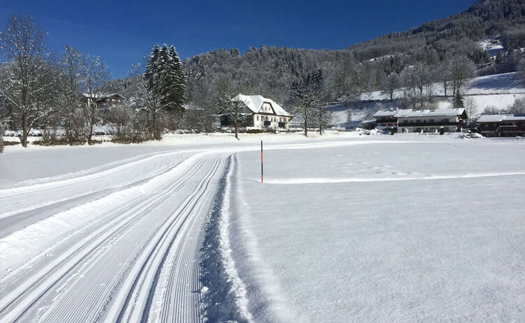 Langlauf Loipeklassisch und Skating in Schönau a. Königssee