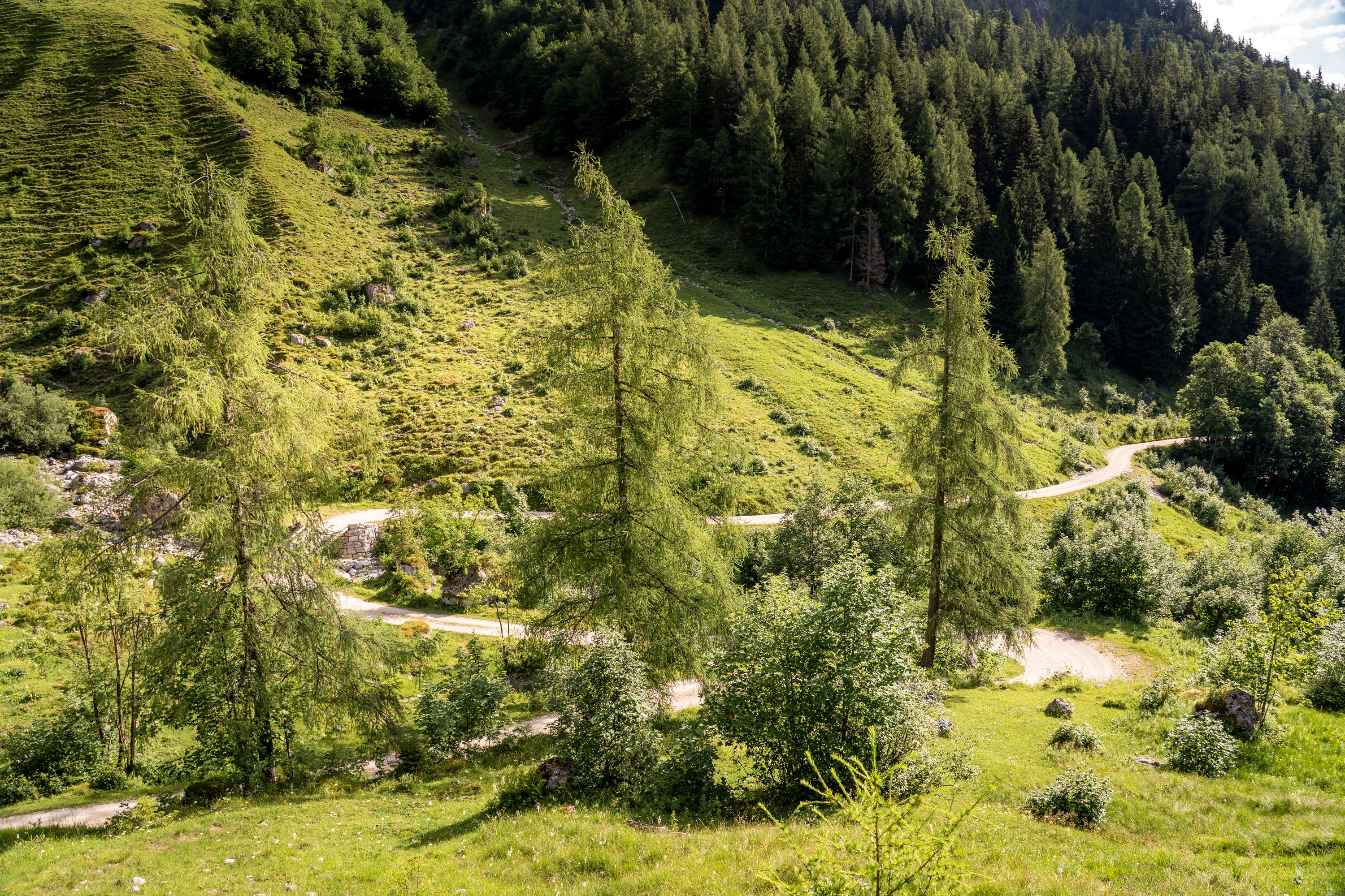 Auf der unteren Jochalm