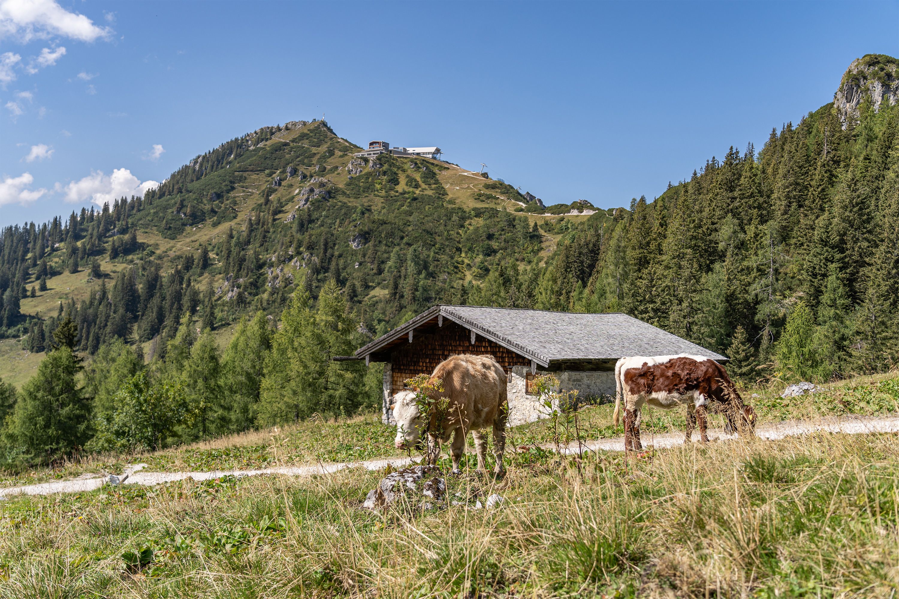 Blick von der Königsbergalm zur Jenner Bergstation