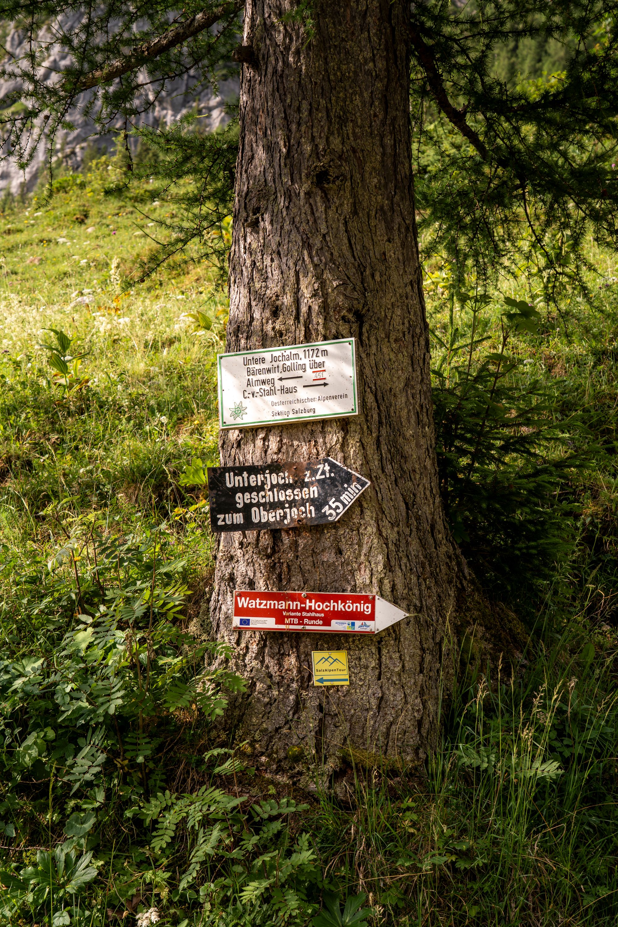 An der unteren Jochalm