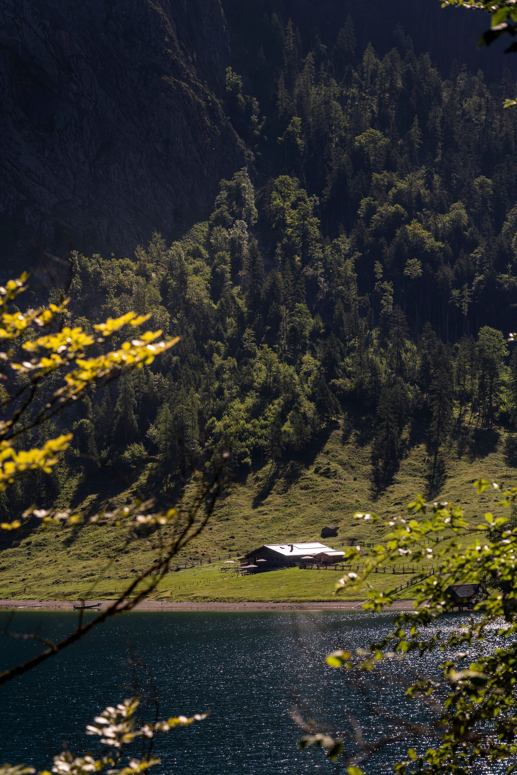 Die Fischunkelalm