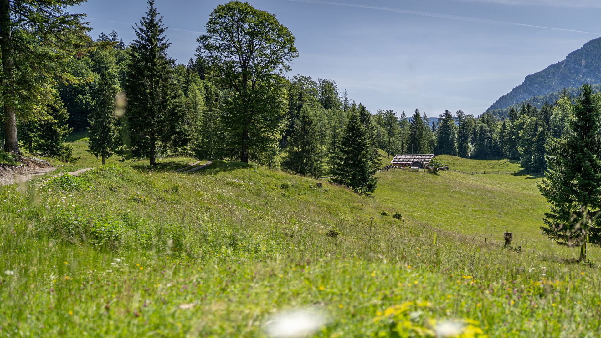 Die Reiter Alm bei Weißbach