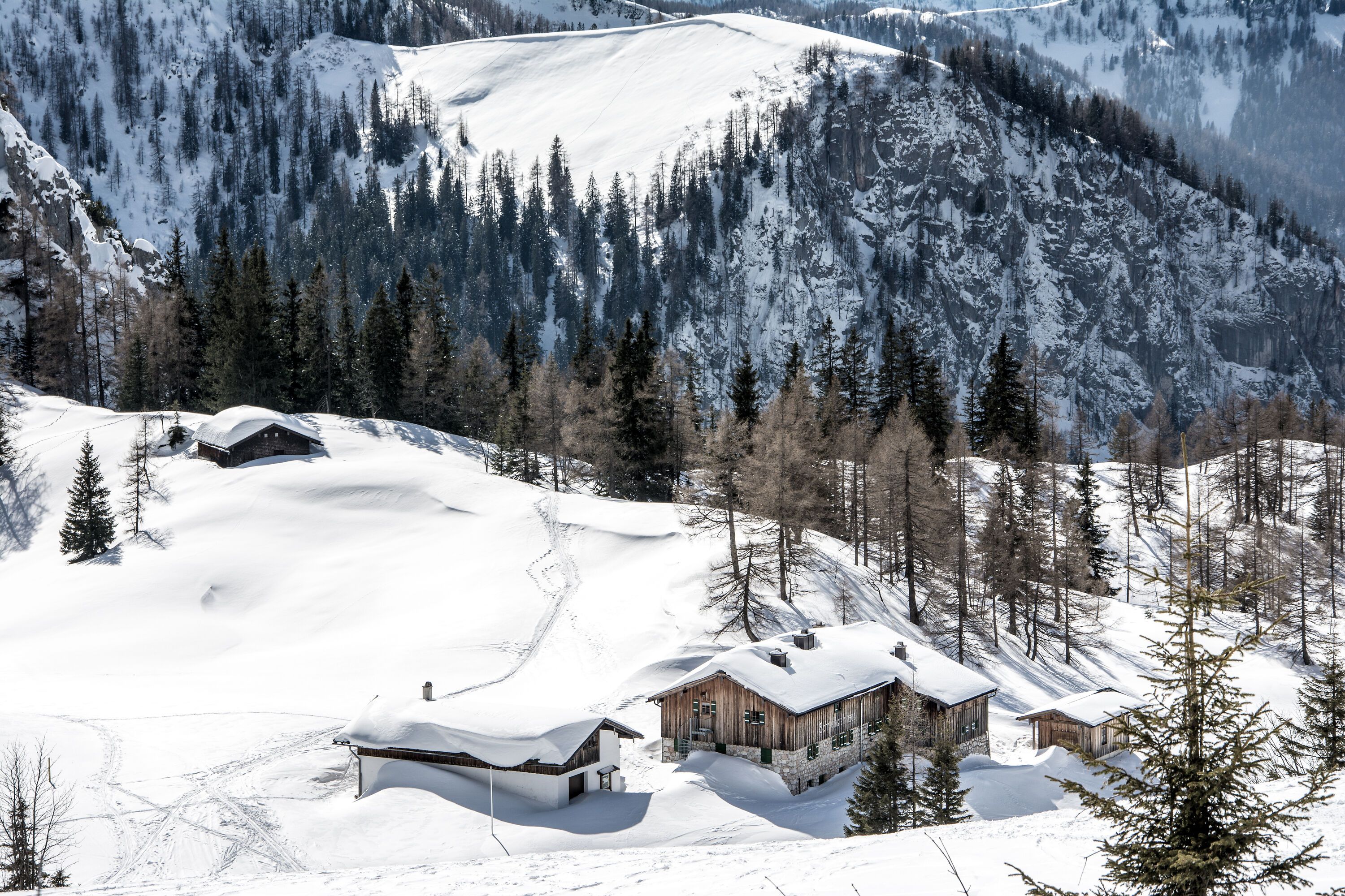Winter am Schneibsteinhaus