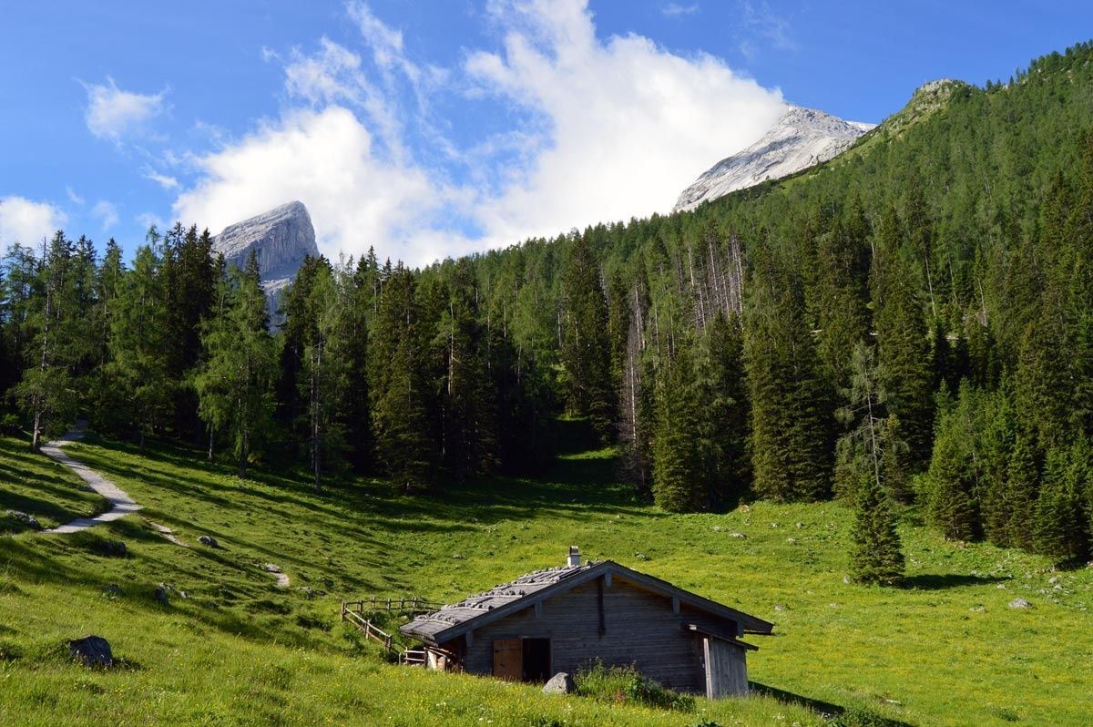 Mitterkaseralm