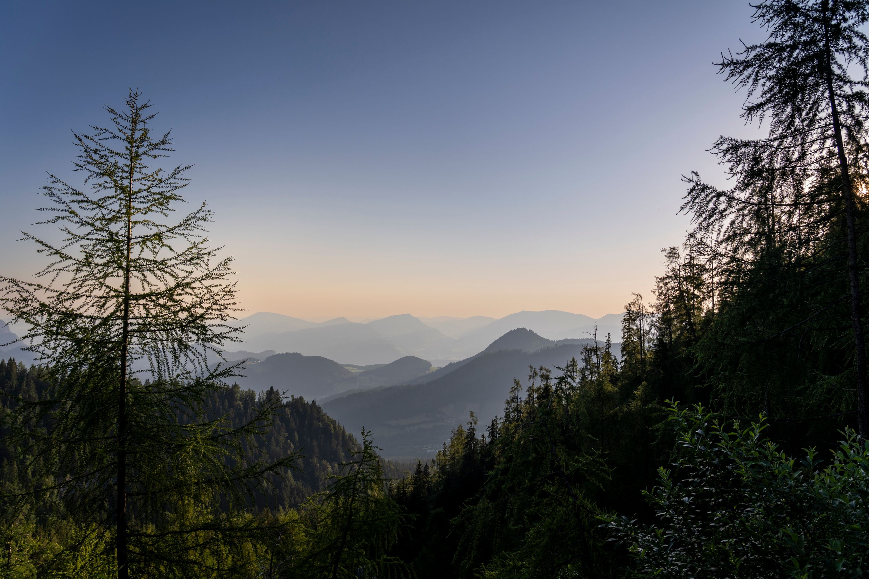 Morgenstimmung