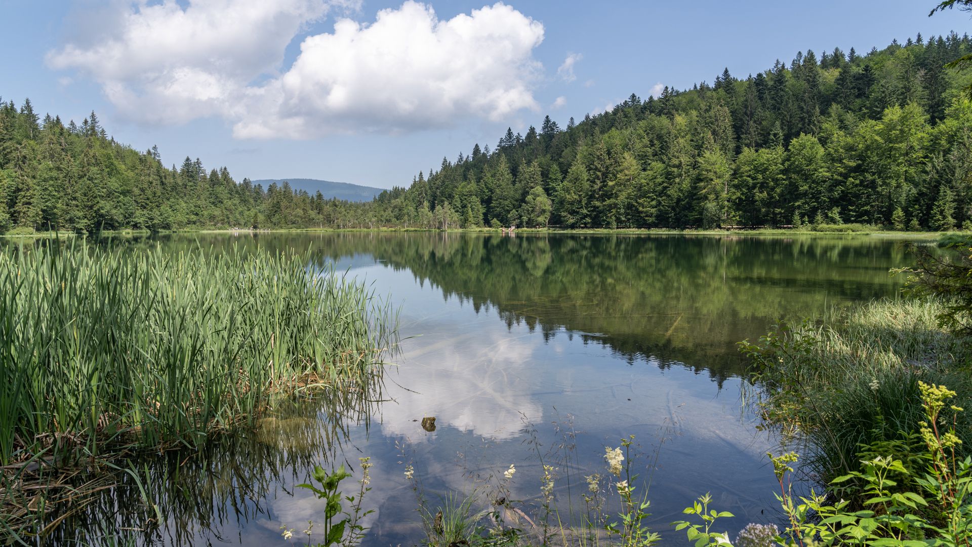 Der Frillensee