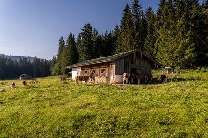 Der Eggler-Kaser auf der Anthauptenalm