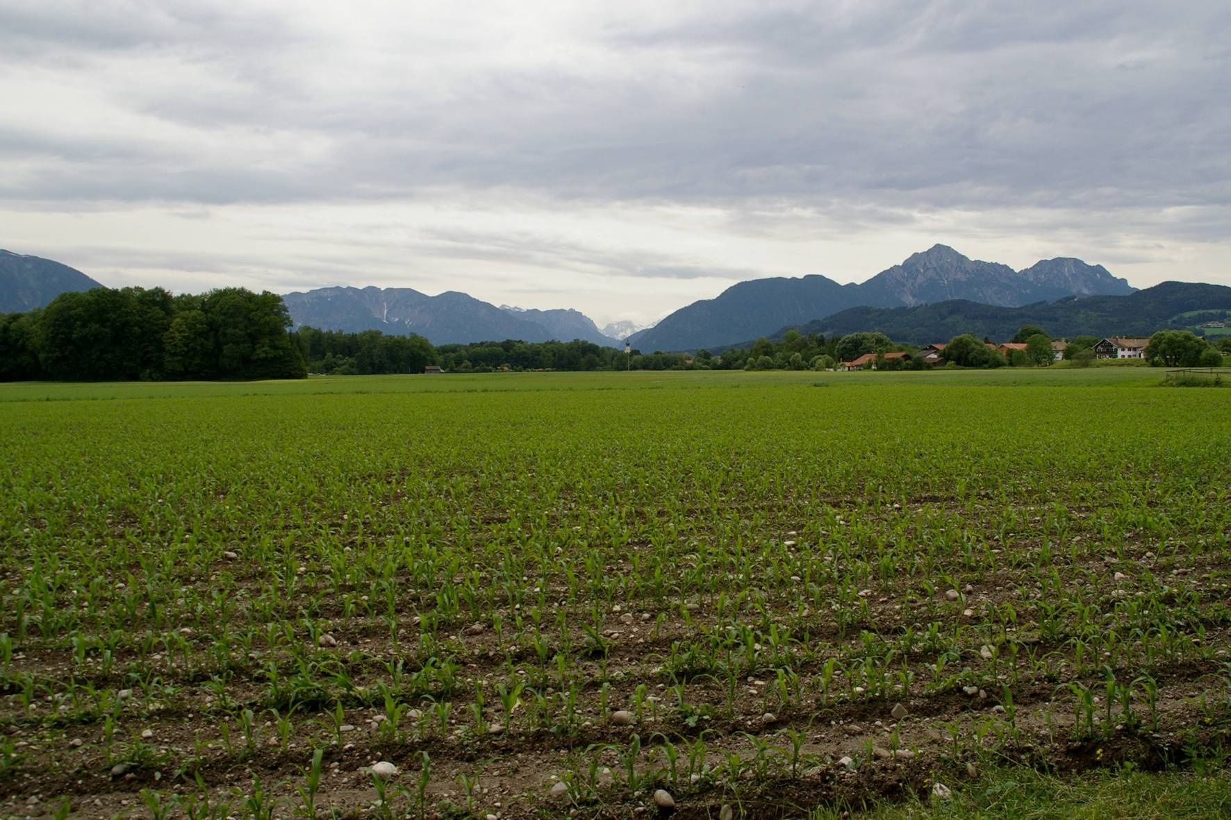 Freilassinger Radrundweg