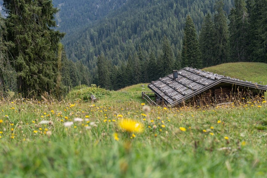 Die Dalsenalm im Lattengebirge