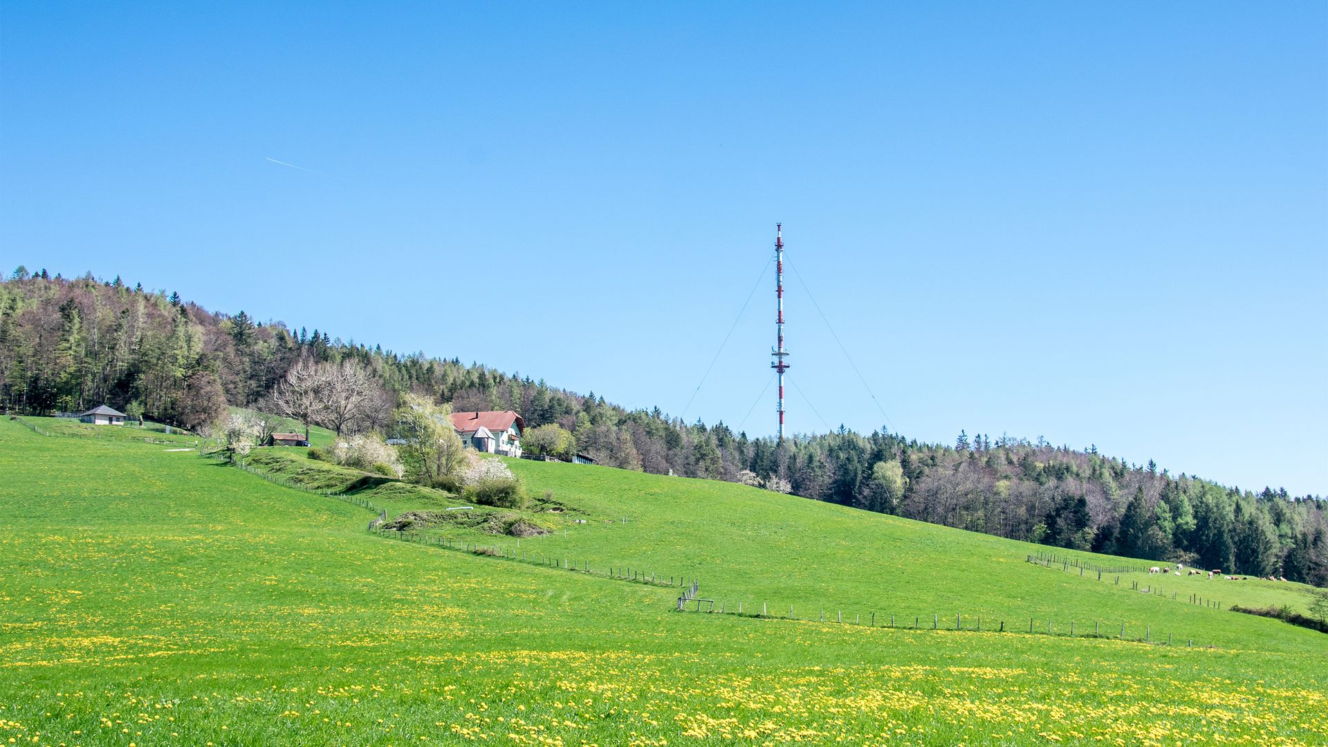 Der Sendemast am Högl