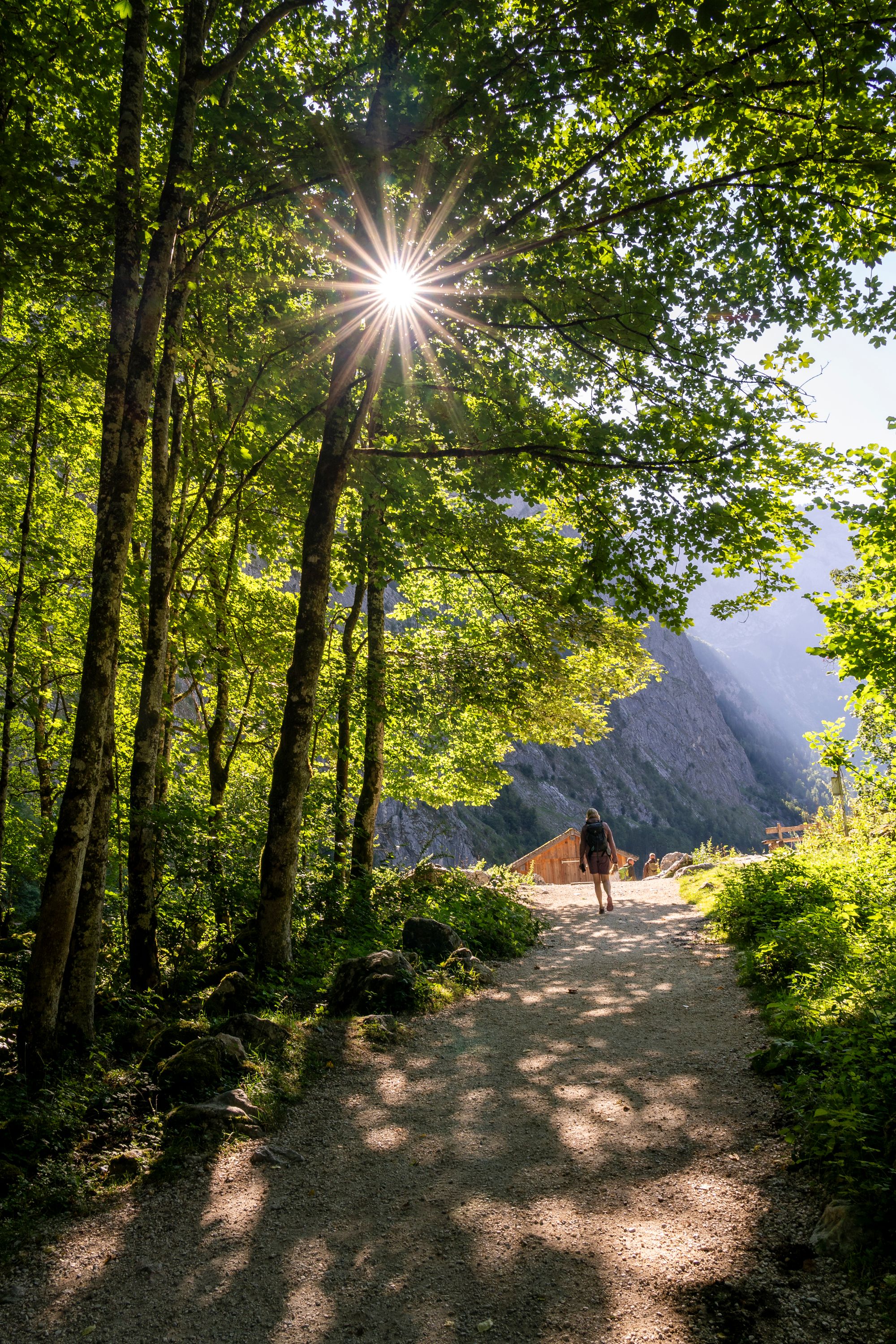 morgendliche Wanderung um den Obersee zur Fischunkelalm