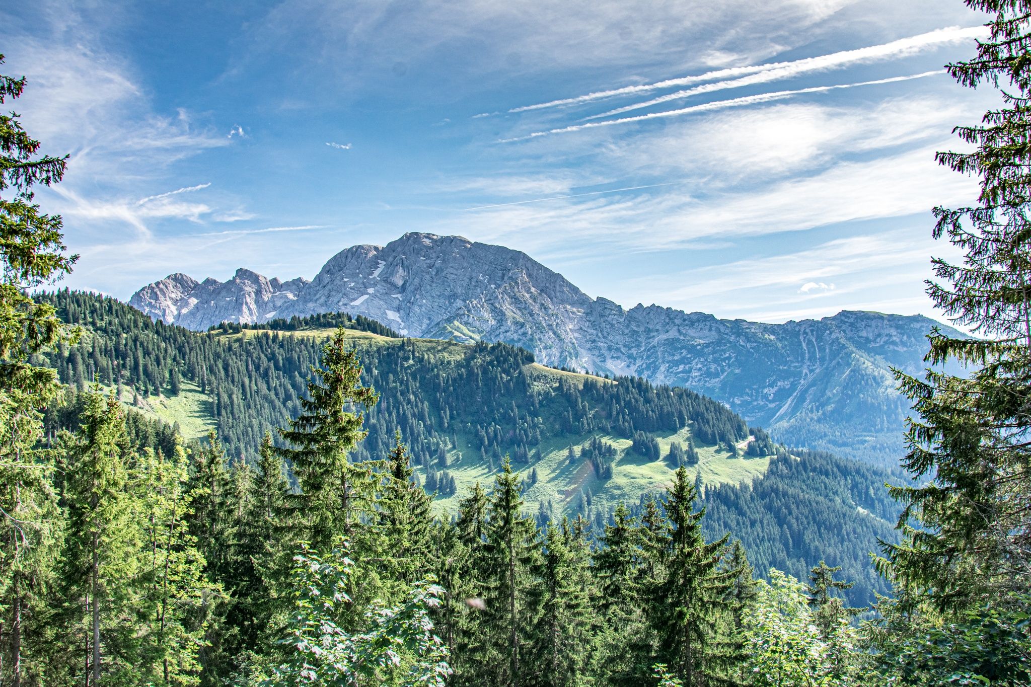 Blick hinauf zum Rossfeld