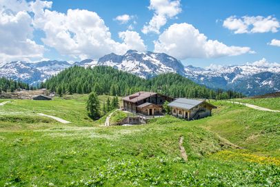 Frühling auf der Gotzenalm