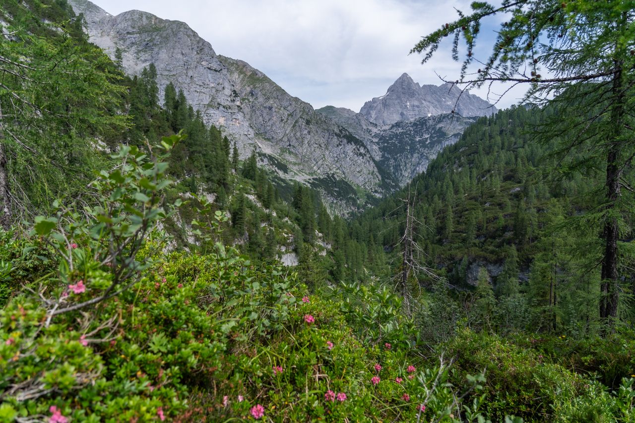 Auf dem Weg zum Funtensee und Kärlingerhaus
