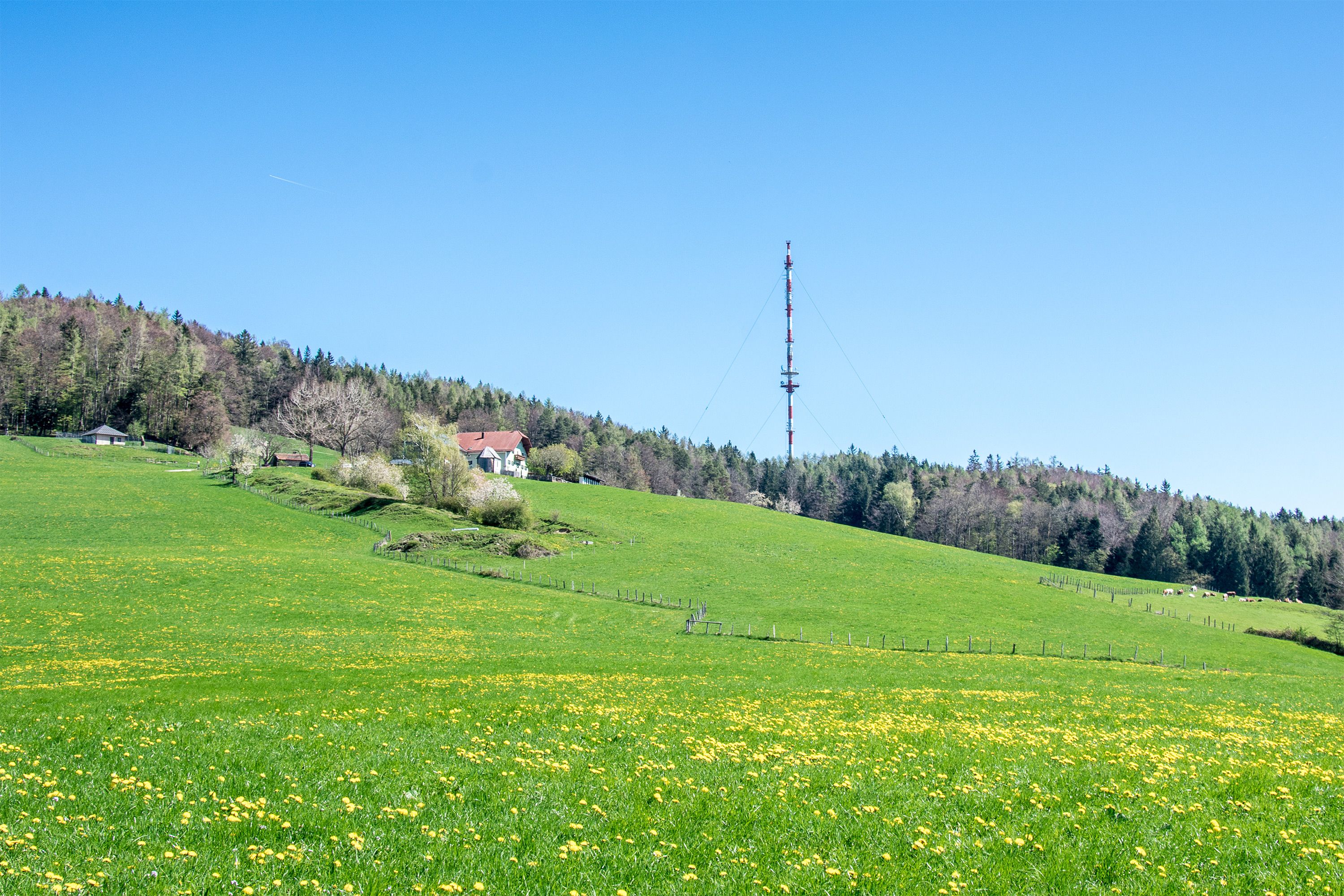 Der Sendemast am Högl