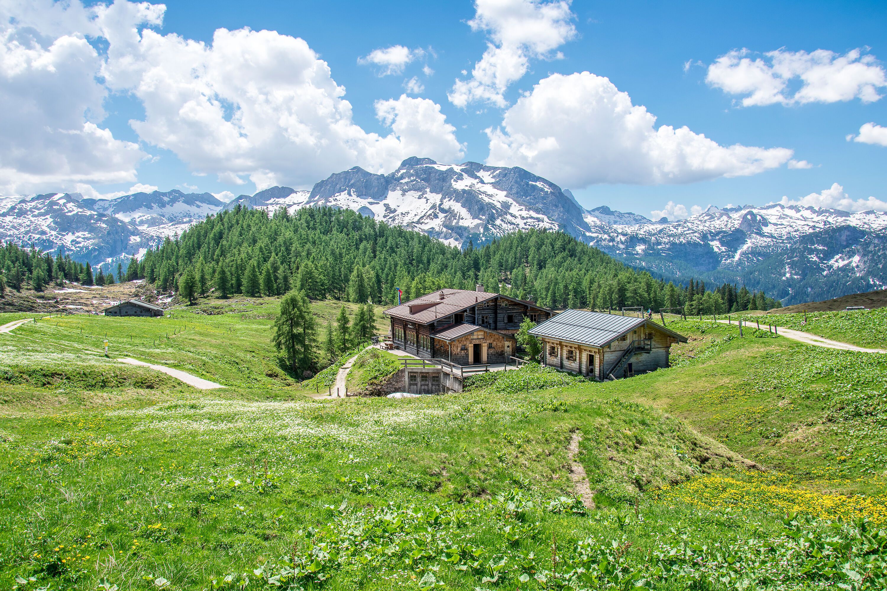 Frühling auf der Gotzenalm