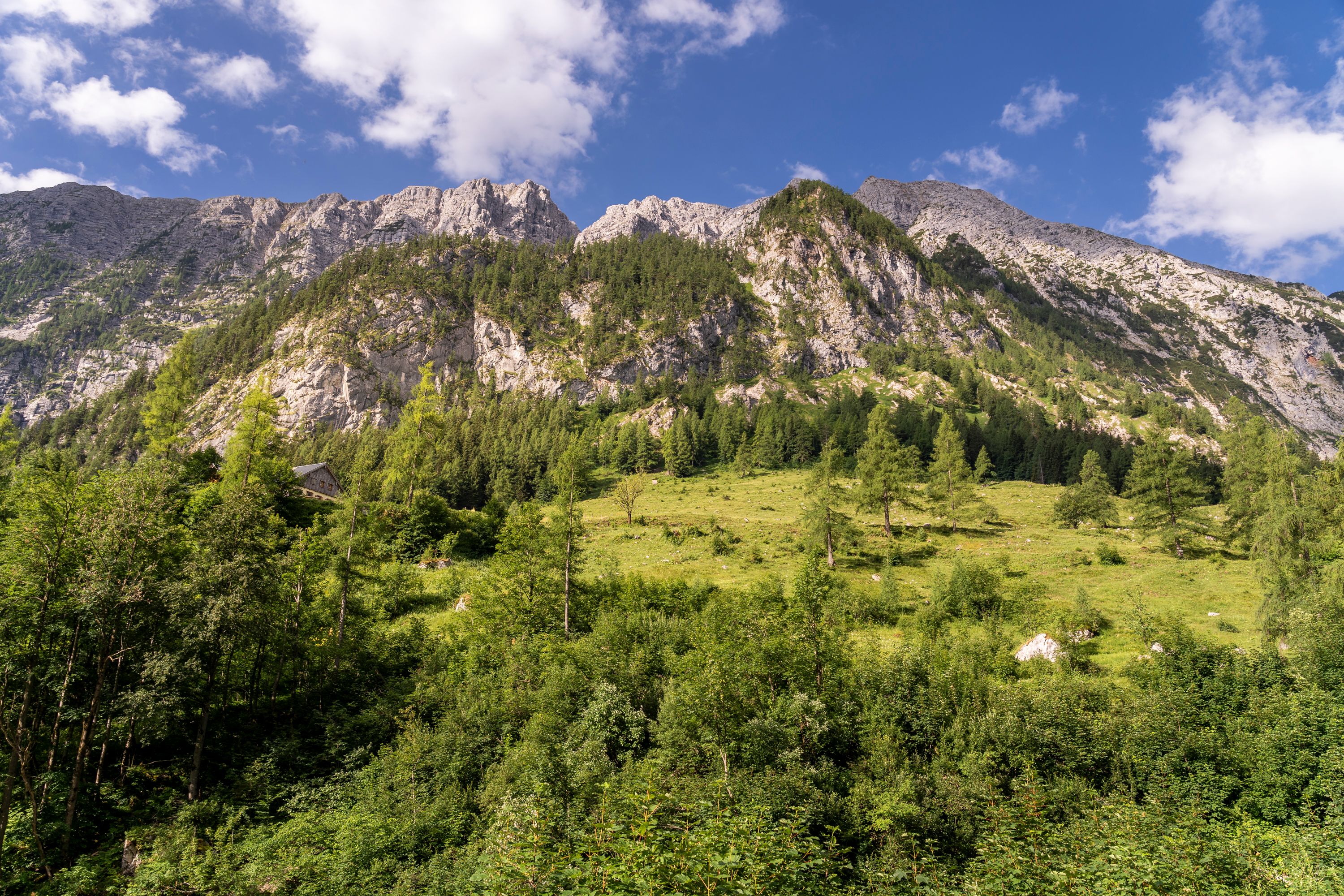 Die untere Jochalm