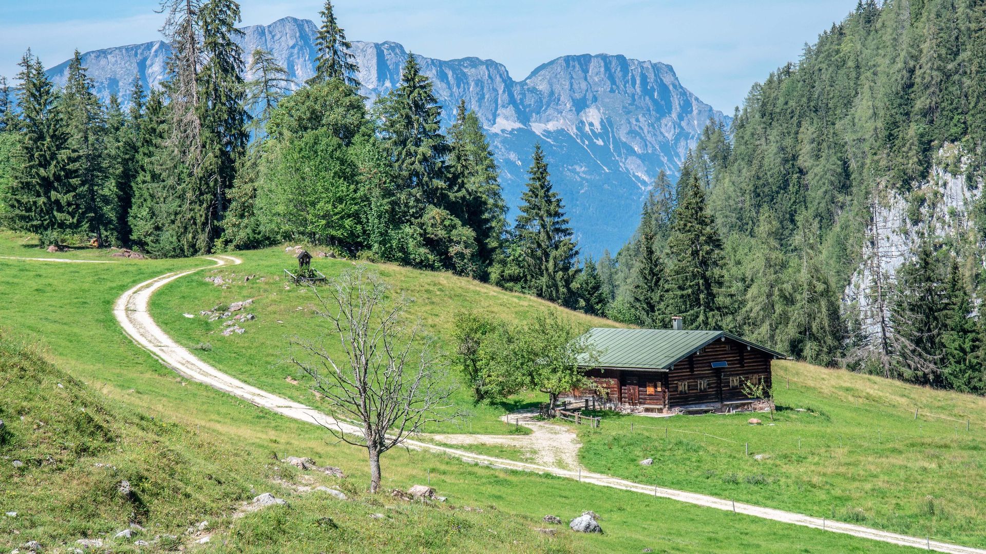 Büchsenalm