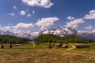 Die Gotzenalm