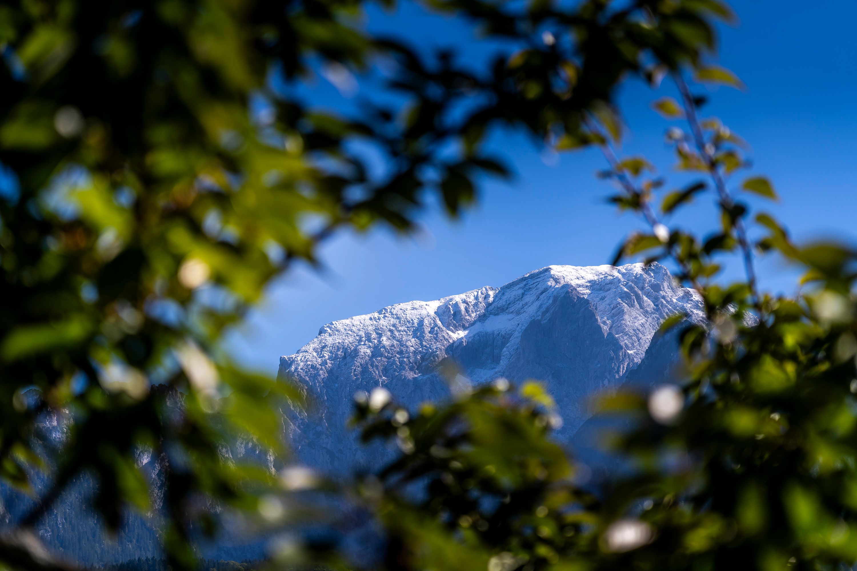 Blick zu den veschneiten Bergen