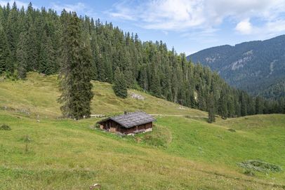 Dalsenalm