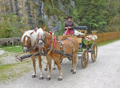 Kutschfahrten in Schönau a. Königssee