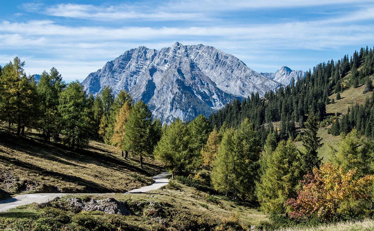 Herbst auf der Königsbergalm
