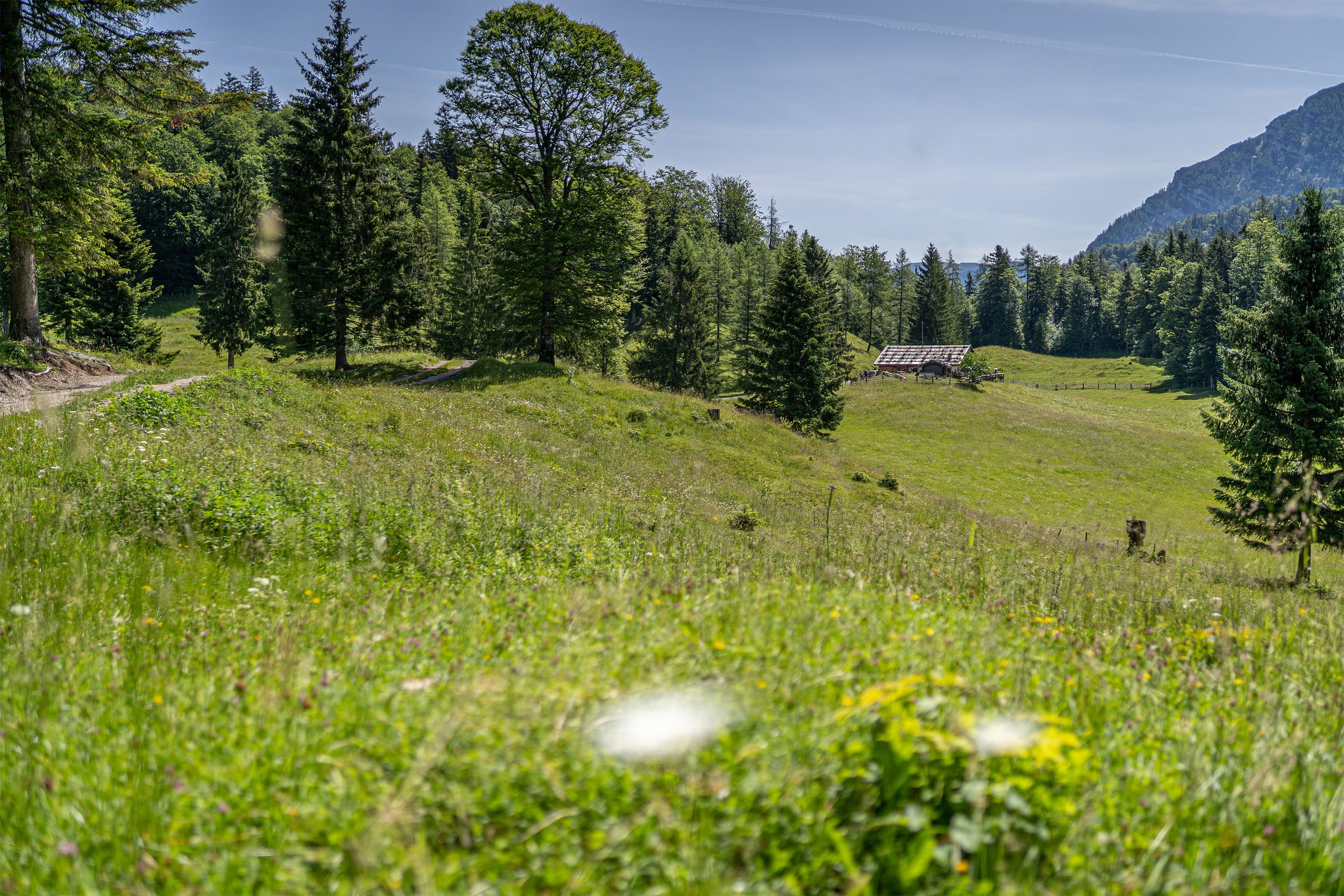 Die Reiter Alm bei Weißbach