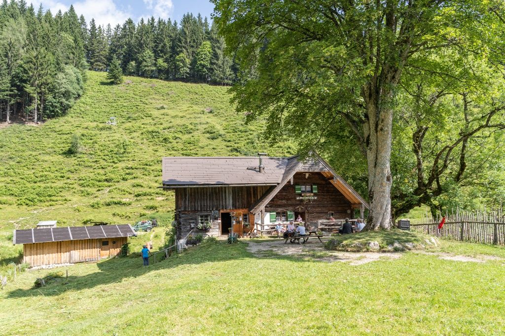 Die Steiner Alm