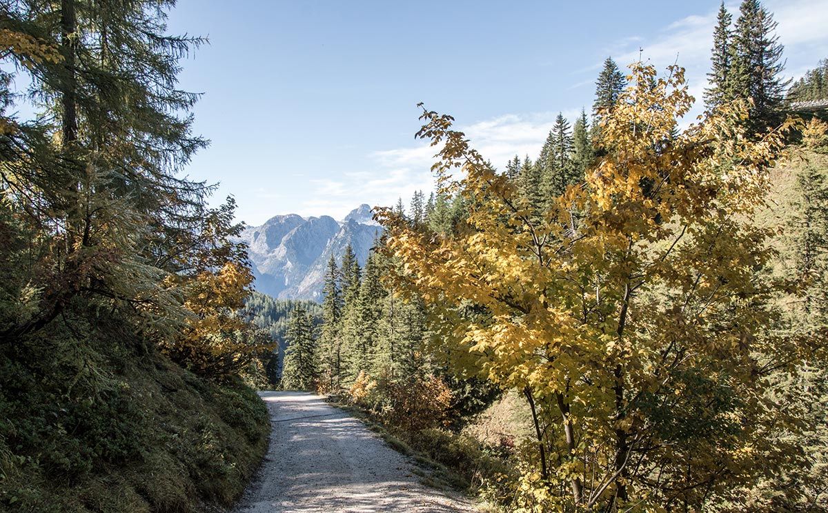 Der Weg zur Königsbergalm