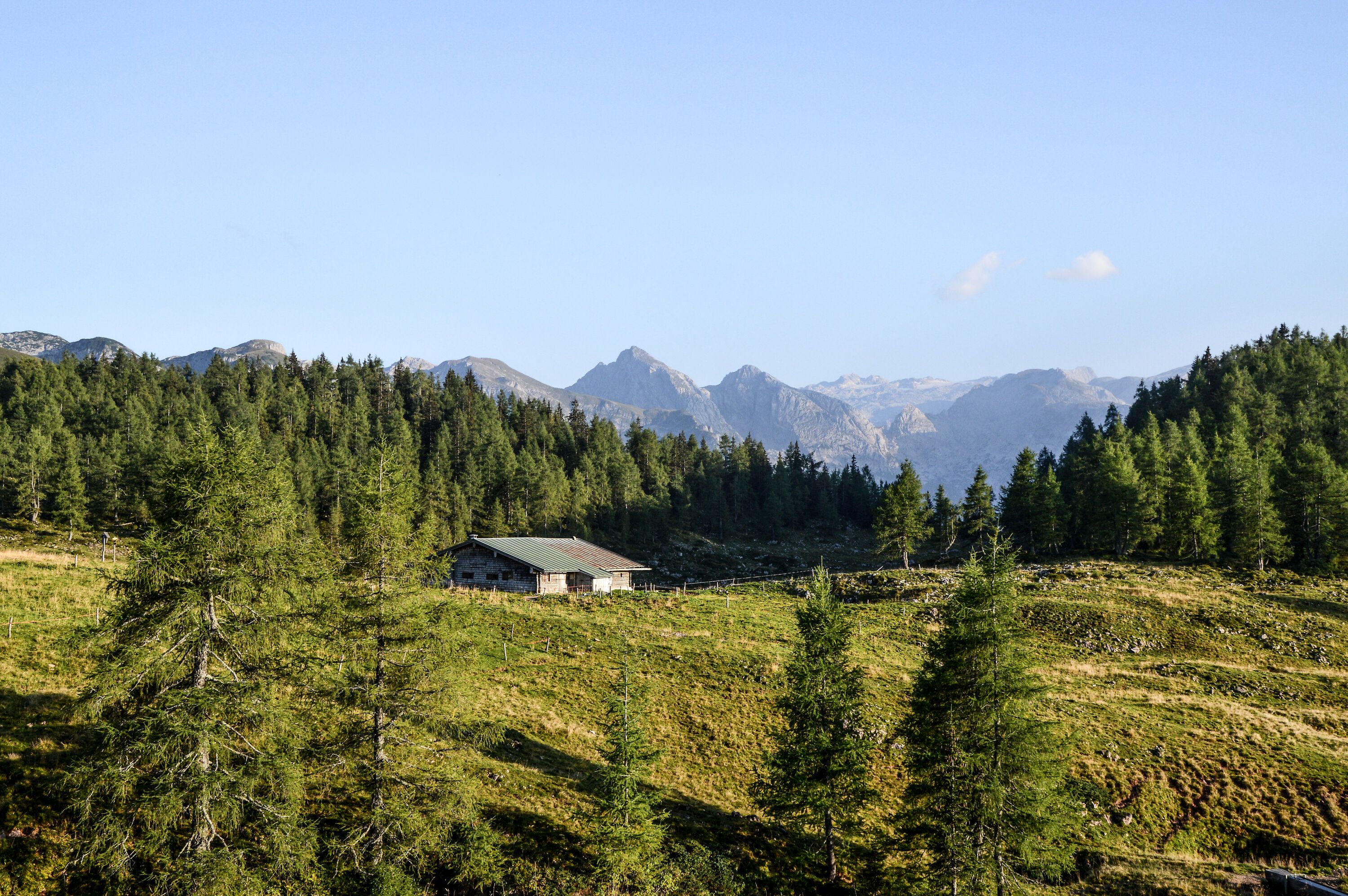 Kaser auf der Gotzenalm