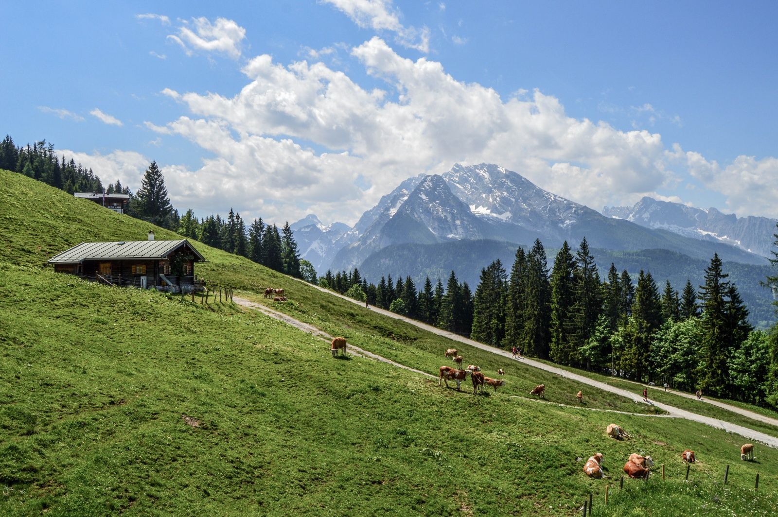 Almgelände an der Jennerbahn Mittelstation