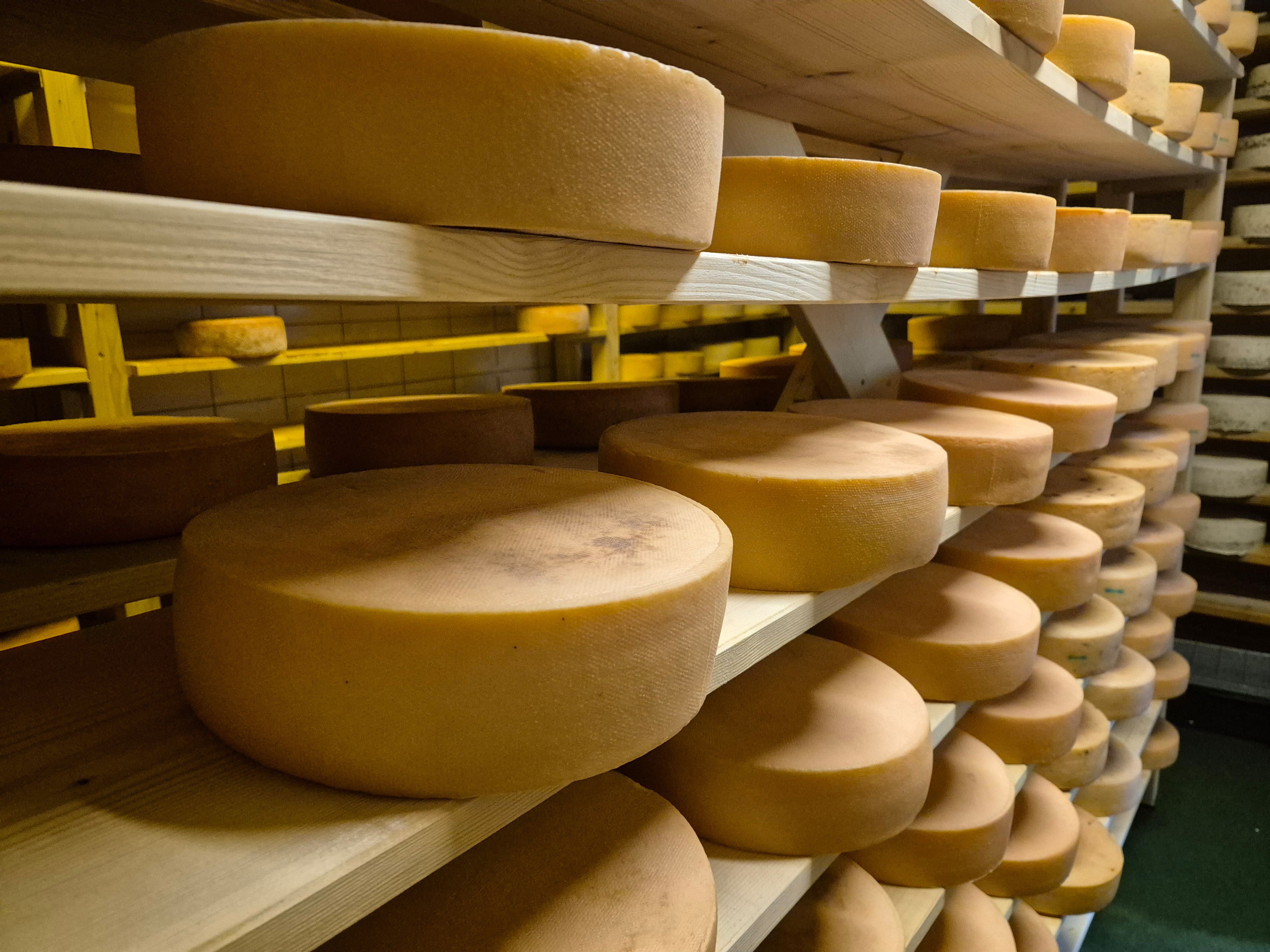 Rohmilchkäse der Dorfkäserei königssee