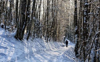 Winterwandern Königsseer Fußweg