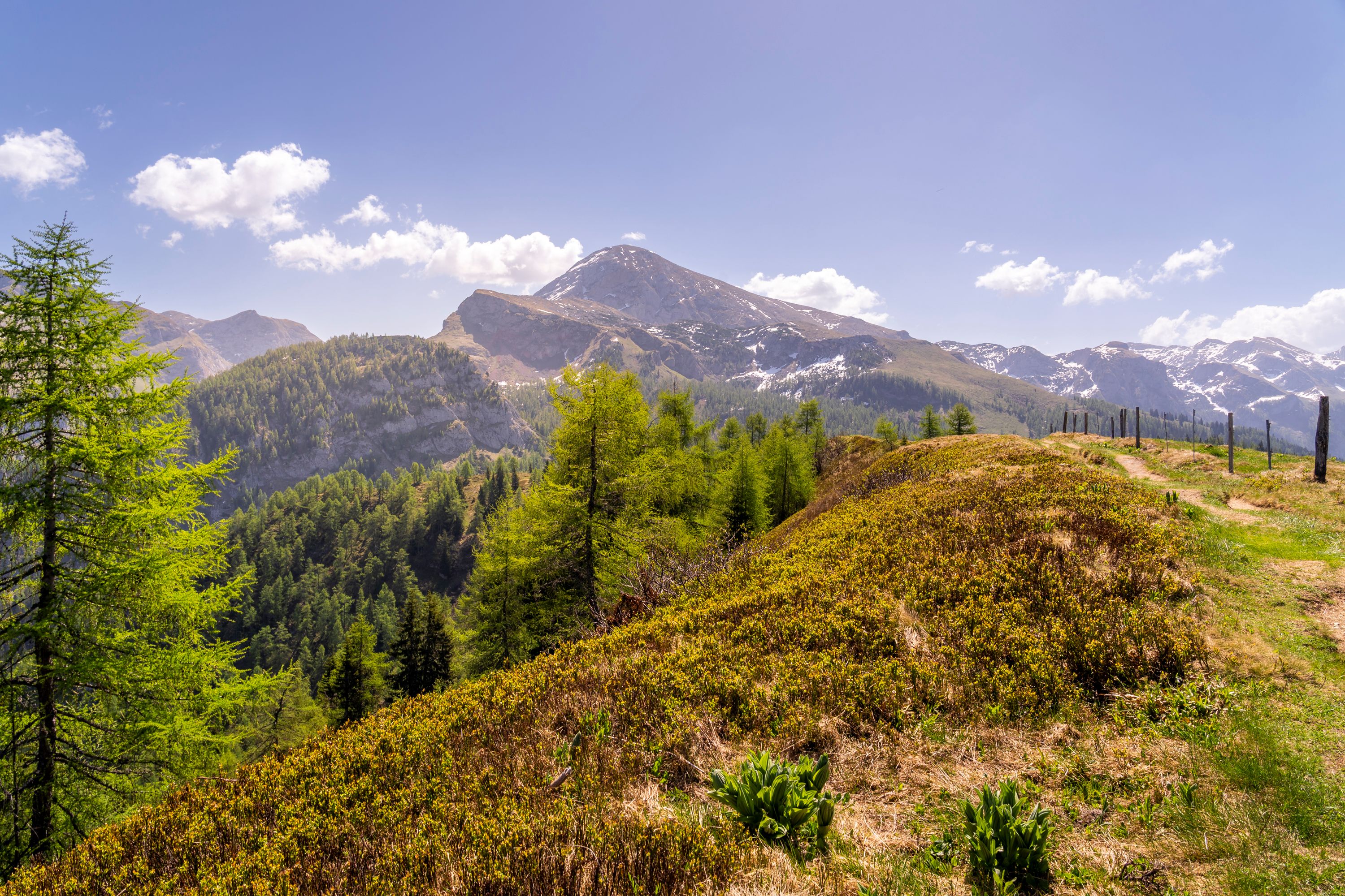 Der Weg zum Feuerpalfen