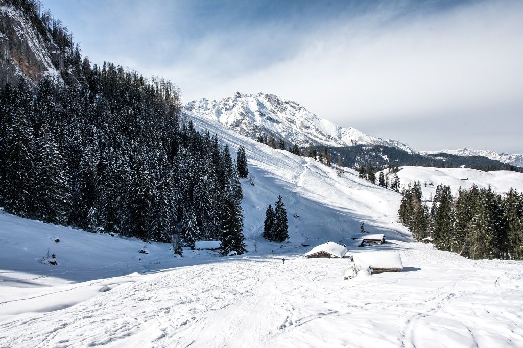 Schneeschuhwanderung Königsbachtal-Runde