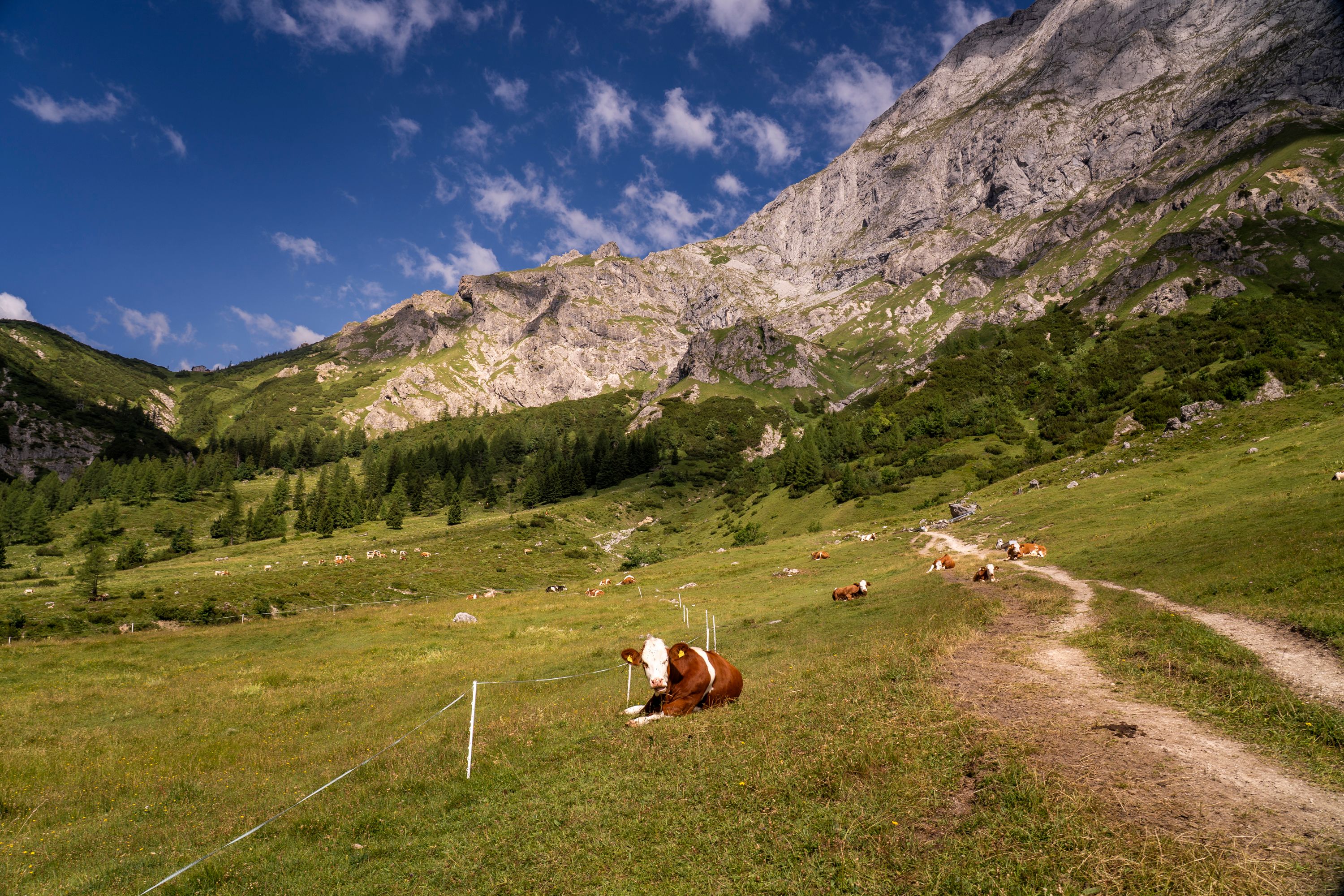Blick von der oberen Jochalm zum Stahlhaus